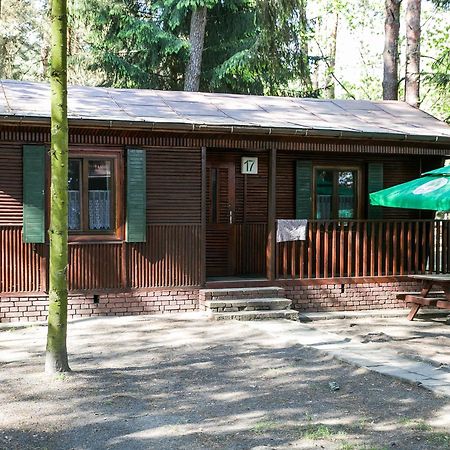 Lesna Ryba Hotell Jedlanka Stara Rum bild