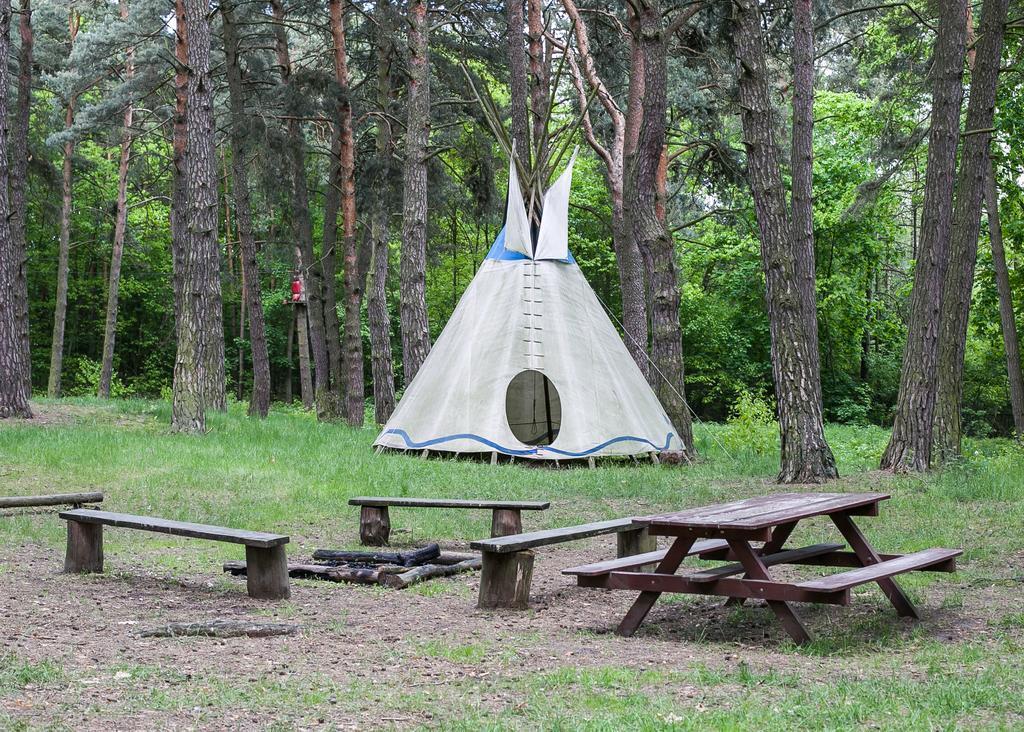 Lesna Ryba Hotell Jedlanka Stara Exteriör bild